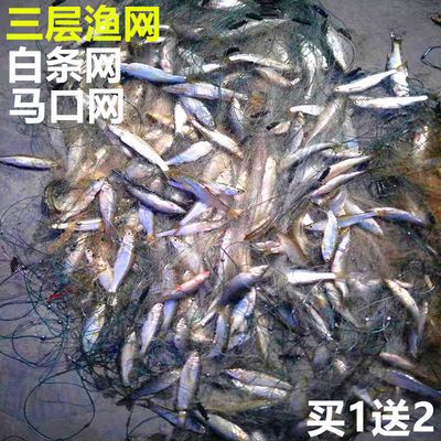 小渔网粘网三层白条网马口网浮网沉网50米100米长1指网渔网捕鱼网