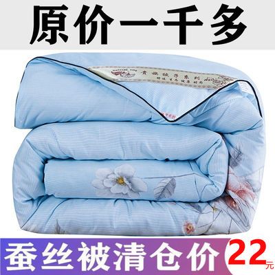 36833/特价蚕丝被100%桑蚕丝春秋被空调被子单人双人加厚冬被被芯棉被褥