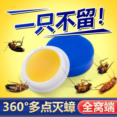 22806/蟑螂药强效家用无毒一窝端室内一扫光厨房蟑螂神器全窝端一次净屋