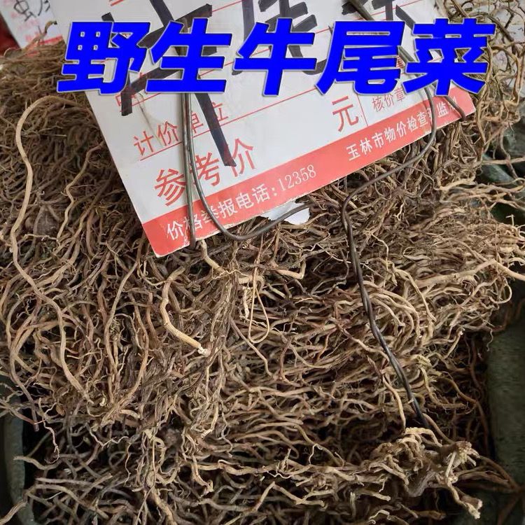 中草药材牛尾菜根500克 牛尾蕨 牛尾决 马尾伸根 鲤鱼须 大伸筋草