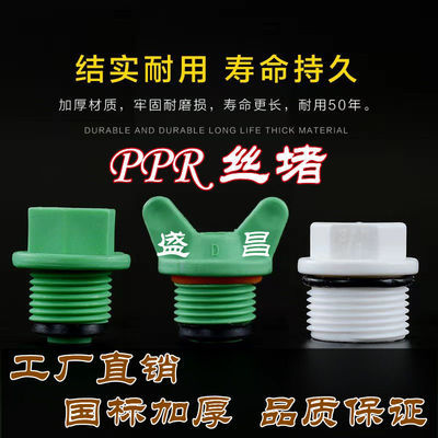 PPR4分6分丝堵外牙塑料管堵双垫水管配件ppr塑料内六角双