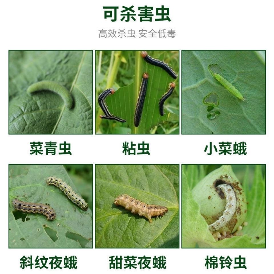 虫螨茚虫威青虫钻心虫吊丝虫食心虫菜蛾甜菜夜蛾甲维虫螨腈杀虫剂 虎窝拼