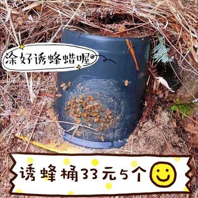 5个装 中锋诱蜂桶土蜂养蜂桶黑色塑料桶引蜂蜜蜂桶黑水桶