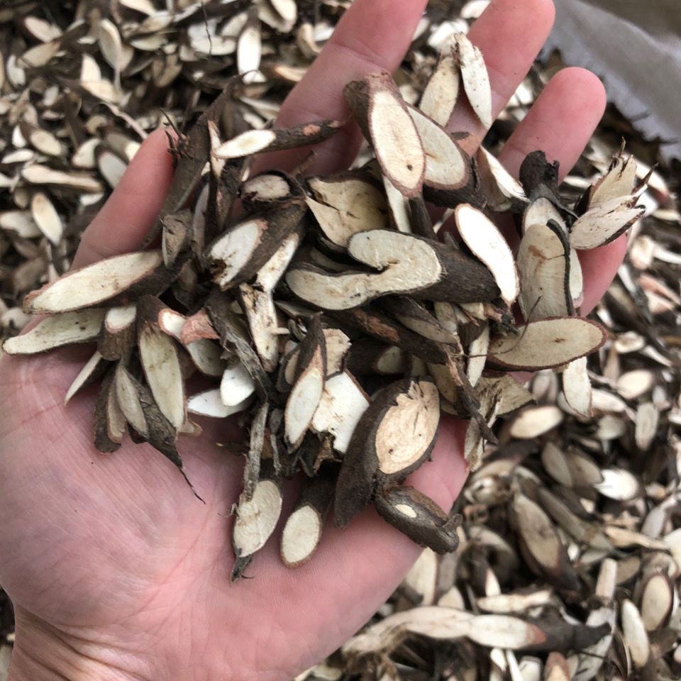 千斤拔  黑皮粉质一条根 吊马墩 吊马桩 老鼠尾 野生正品 500克