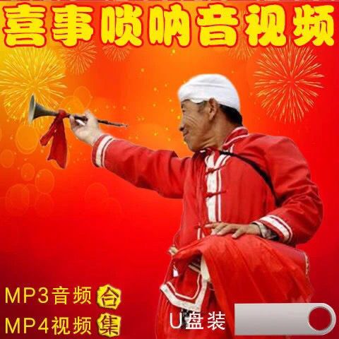 唢呐喜事红事歌歌曲u盘内存卡民间乐队唢呐曲农村办婚庆喜庆音箱【2月