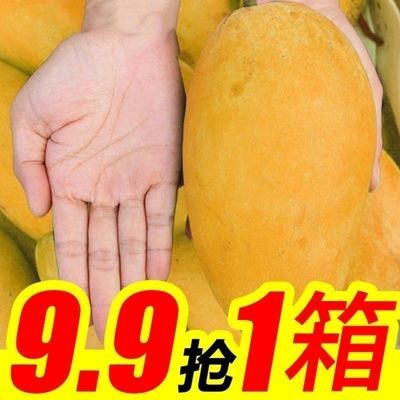 39735/海南直发大青芒金煌芒果新鲜水果3斤,5斤,带箱10斤整箱批发零售