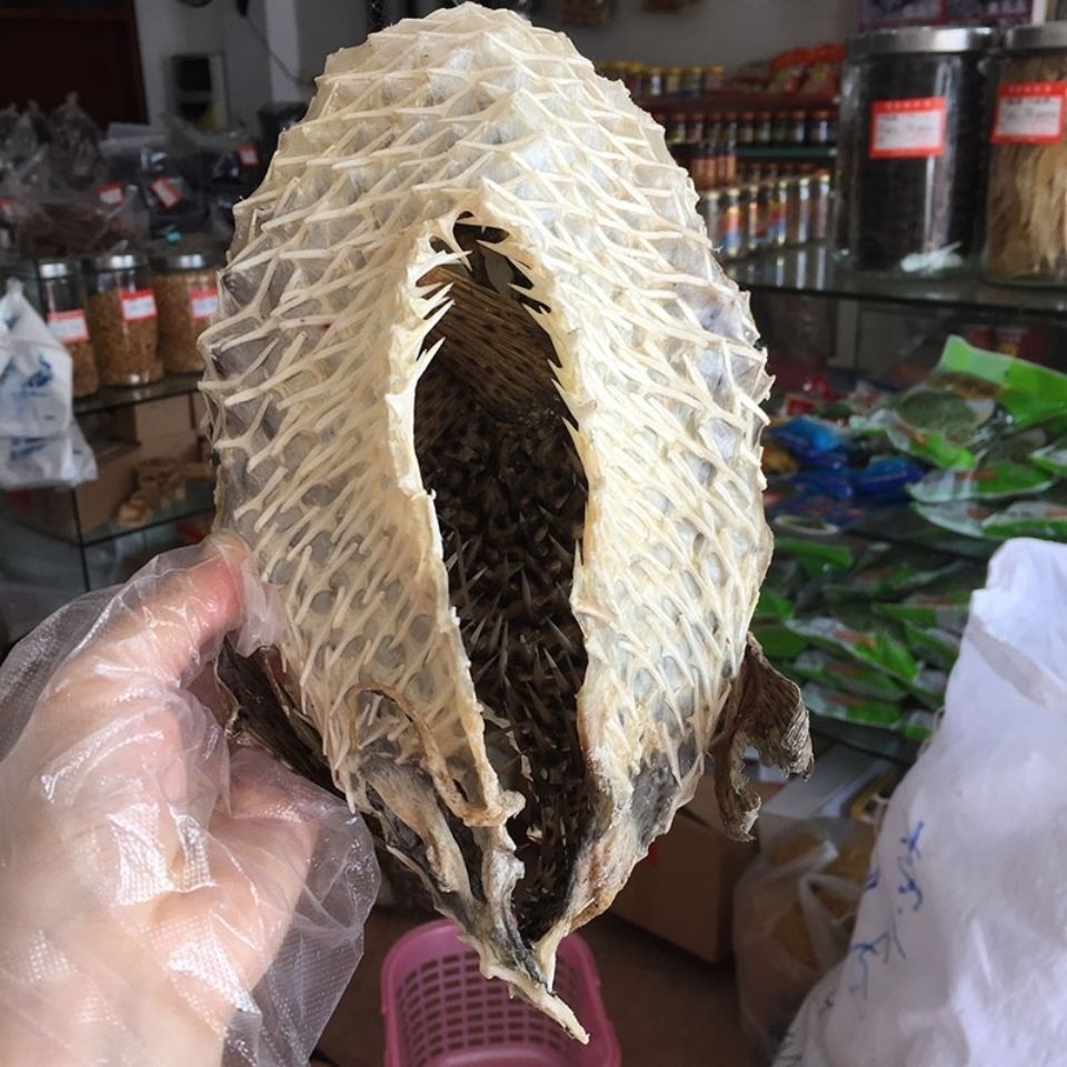 深海大号刺龟皮海胆皮刺豚皮海刺猬鱼皮干货煲汤阳江特产500g正品