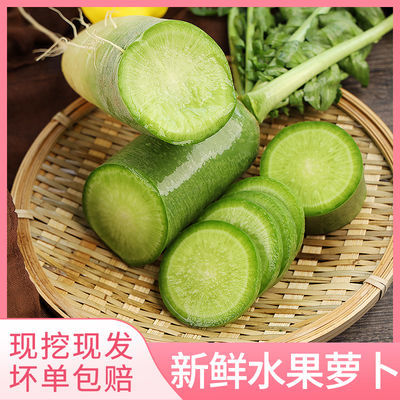 40175/2021山东现挖水果萝卜批发萝卜潍坊萝卜青当季甜脆潍县青萝卜批发