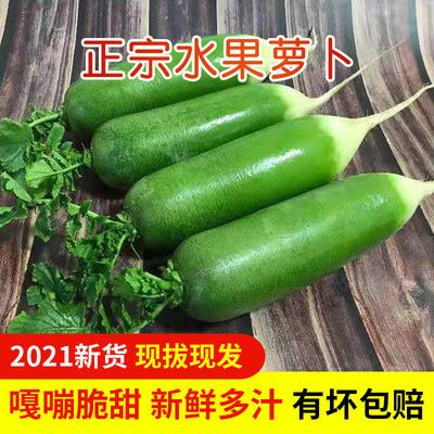 37849/【现拔新货】水果萝卜生吃甜脆 潍县沙窝萝卜水果青萝卜新鲜蔬菜