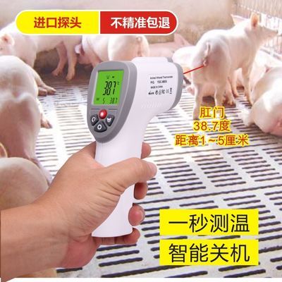 猪体温计兽用体温计兽用体温计猪用兽用电子体温计兽用体温计