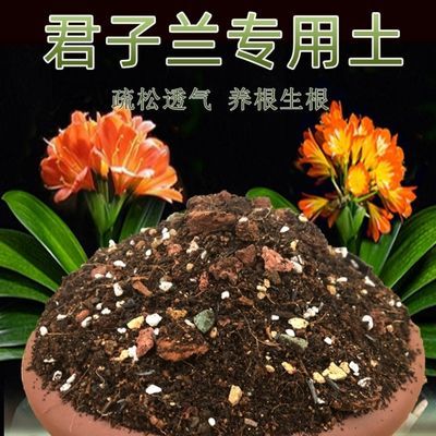 土中土君子兰土专用土透气家用肥料兰花植料君子兰专用营养土包邮 给力呢