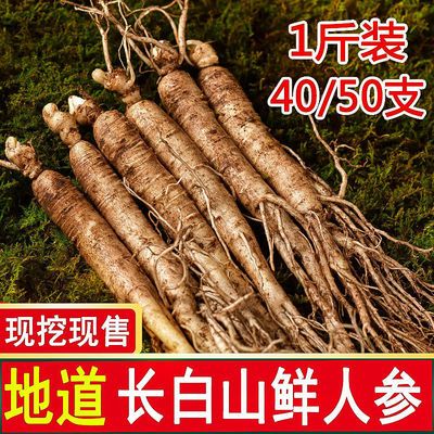 57689/正宗长白山鲜人参带土鲜参现挖现卖产地直发新鲜人参园参泡酒煲汤