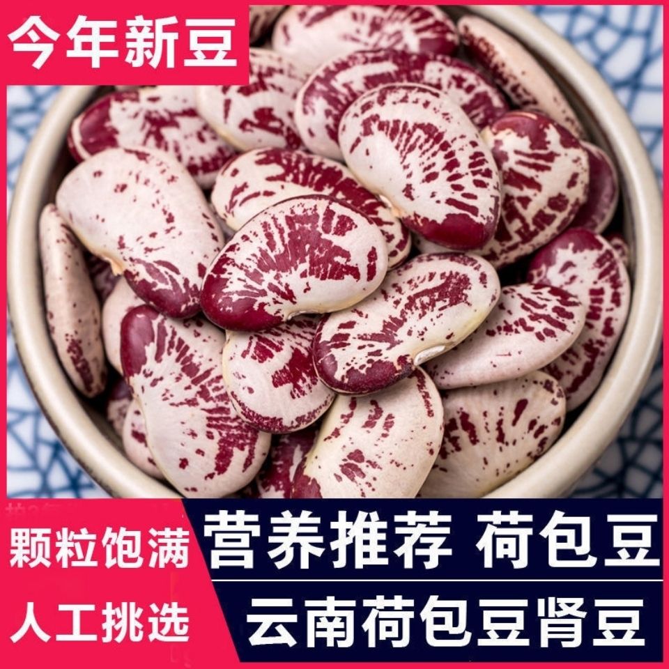 新鲜荷包豆大肾豆状元豆富贵豆花纹斑马豆耳豆煲汤煮粥五谷杂粮
