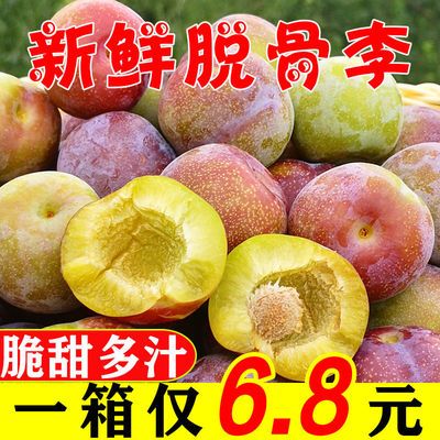 39952/四川李子5斤脱骨李茵红李子水果脆李脆甜半边红新鲜应季1斤批发【6月25日发完】