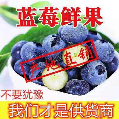 39514/河南新鲜蓝莓鲜果水果蓝梅果大果批发宝宝辅食护眼加纯汁香甜可口