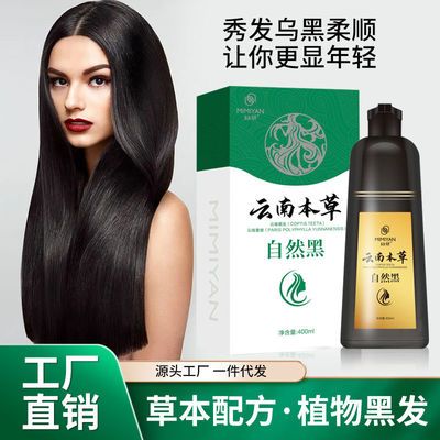 32240/云南本草一洗黑洗发水黑色染发剂永久天然纯植物一支黑染发膏