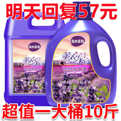 36677/10斤大桶粉薰衣草香洗衣液持久留香家庭装凝珠洗衣凝露植物无荧光