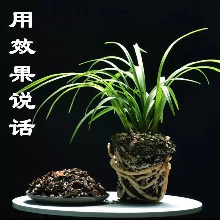 兰花专用植料专用土多肉植物小盆栽用土特大包 虎窝拼