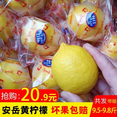 四川安岳黄柠檬买5斤送4.5斤新鲜水果批发大果尤克力