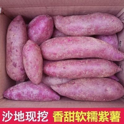 【坏果包赔】紫薯新鲜沙地紫薯紫色板栗薯现挖红薯板栗薯