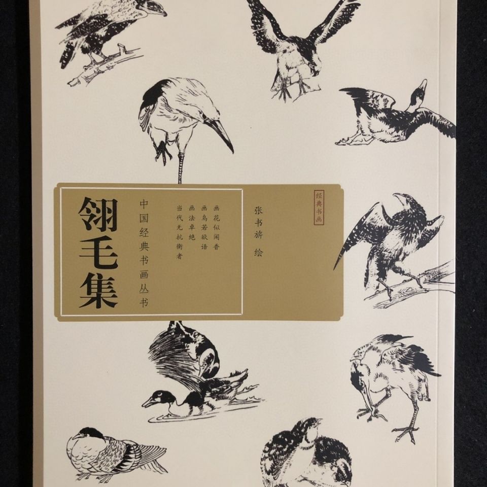 藤本花卉课徒范本 献之艺术书店