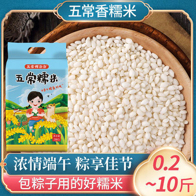 36100/五常香糯米新米圆粒糯米江米东北特产批发包粽子酿酒糍粑自种糯米