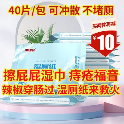 109586/马应龙湿厕纸可直接冲马桶大包便携清洁卫生湿纸巾批发用家庭装