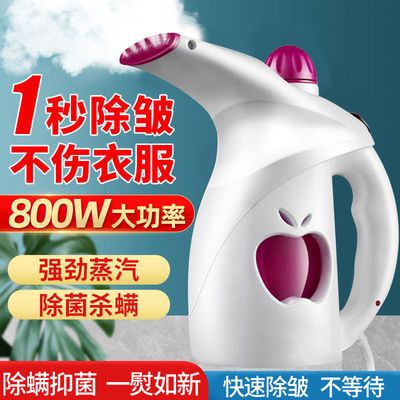39482/手持挂烫机家用蒸汽熨斗小型便携式烫衣服神器迷你熨烫衣服机【6月21日发完】