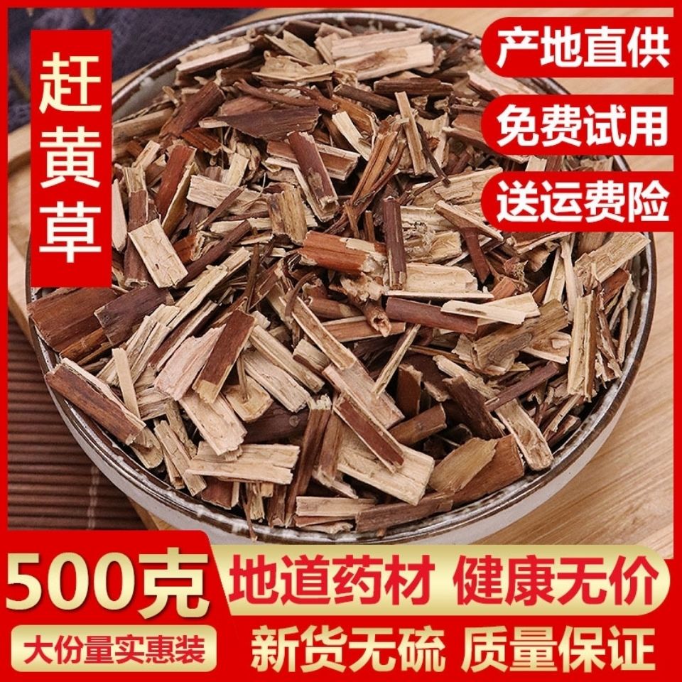 赶黄草  别名 扯根菜 山黄鳝 水杨柳 中药赶黄草包邮【2月14日发完】