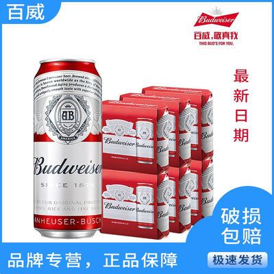 37204/百威啤酒500ml经典醇正500ml*5听啤酒整箱批发罐装啤酒特价18听