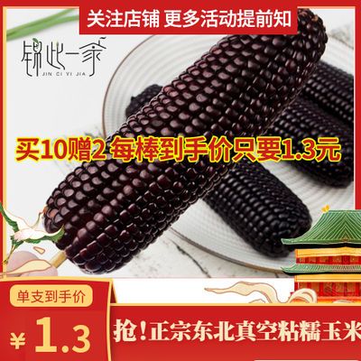 36973/非转基因东北特产新鲜营养一等黑/黄糯玉米真空包装代餐