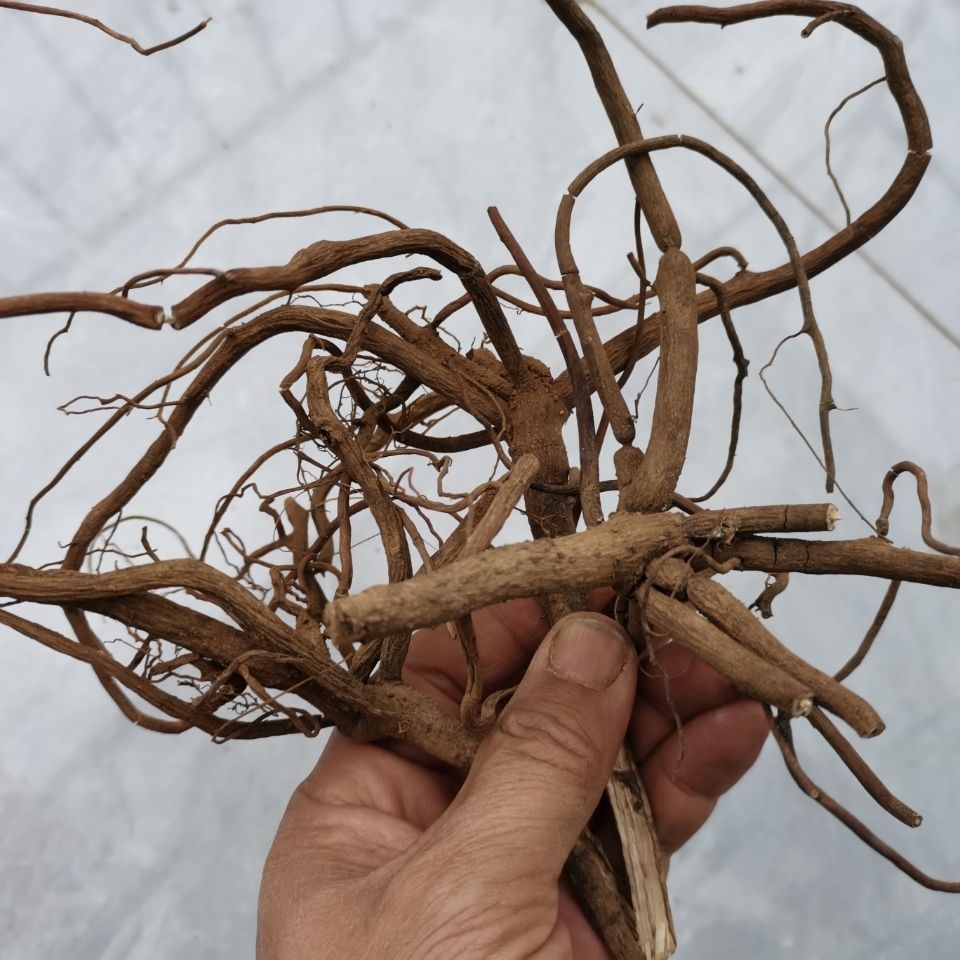 贵州中药材八爪龙开喉箭500g野生八爪金龙开喉剑纯根干货朱砂根拼团中