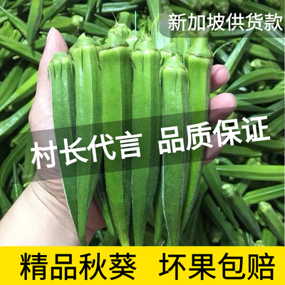 39390/【新鲜秋葵】水果秋葵黄秋葵鲜嫩蔬菜5-3斤农家有机黄秋葵现发