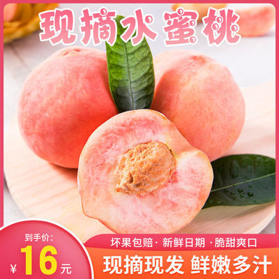 39873/【现货速发】现摘桃子新鲜毛桃脆甜多汁当季水果脆桃子