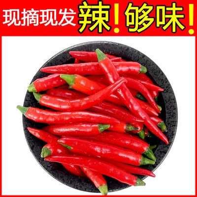 37852/现摘特辣小米椒新鲜朝天椒魔鬼辣椒辣椒蔬菜多规格米椒辣椒新鲜