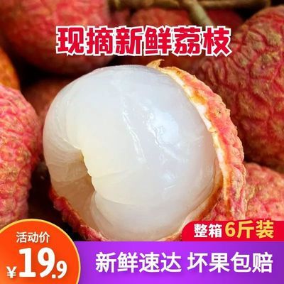 39489/福建黑叶荔枝新鲜水果现摘乌叶荔枝孕妇时令特产水果荔枝6斤4批发