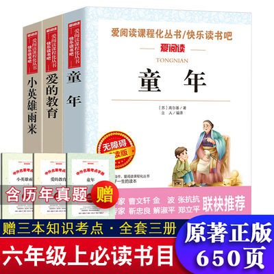 37616/童年爱的教育小英雄雨来高尔基管桦快乐读书吧六年级上必读课外书