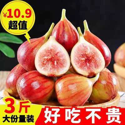 39532/【一件也批发】新鲜无花果现摘鲜果红皮无花果批发云南无花果