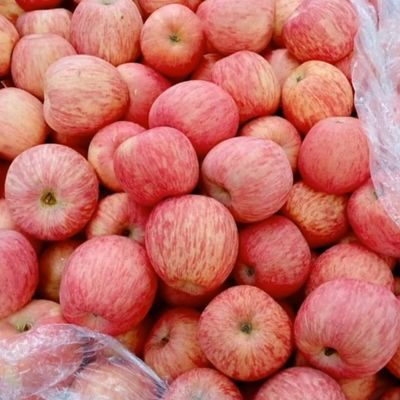 条纹红富士苹果七零一级果十斤普通箱装果农家直销
