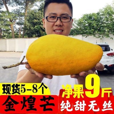 37833/芒果海南金煌芒果大青芒水仙芒甜心芒3斤/5斤/10斤包邮批发