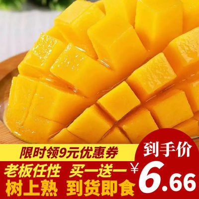 37786/【树上熟】云南非海南台芒 整箱水果 当季水果 应季水果 到货即食
