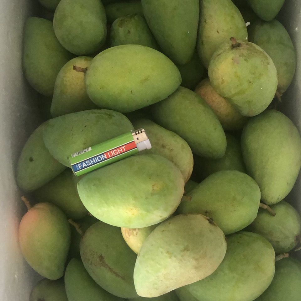 37786-【树上熟】云南非海南台芒 整箱水果 当季水果 应季水果 到货即食-详情图