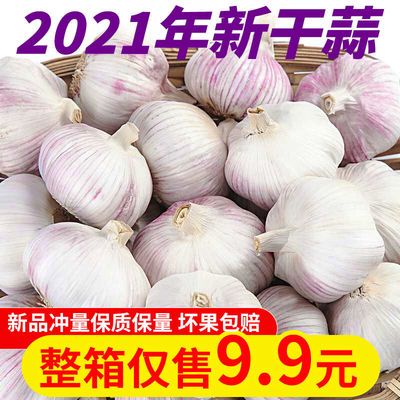 39743/【新干蒜】山东紫白皮大蒜新干蒜大蒜头批发3/5/10斤干紫白皮大蒜