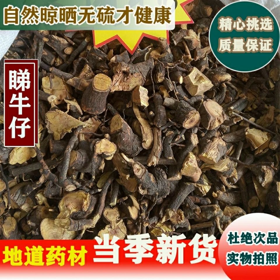 睇牛仔中药材 野生苦李脚根 苦里脚根 睇牛儿根500克1000克包邮
