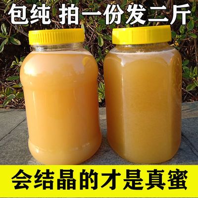 39005/天然野生蜂蜜正宗土蜂蜜纯真百花蜜农家自产自销枣花蜜一斤装批发