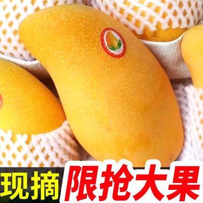 40121/【自然熟】芒果新鲜水果1-10斤装整箱批发大芒果非贵妃芒大青芒