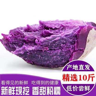 40149/【粉糯香甜 】沙地紫薯新鲜地瓜现挖番薯蔬菜板栗蜜薯非红薯