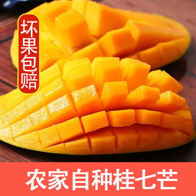 39456/云南田东桂七芒果送礼水果现摘新鲜礼盒净重10斤大果贵妃青芒
