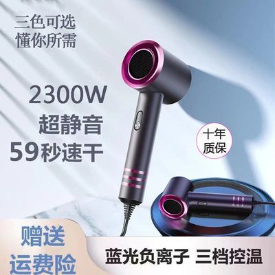 50699/德国电吹风机家用负离子护发冷热风发廊理发店大功率网红静音风筒