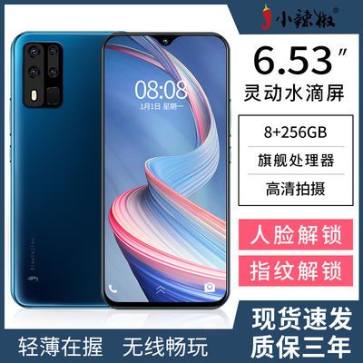 48723/小辣椒P40八核256G大内存6.5英寸安卓全网通4G特价便宜货智能手机